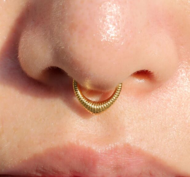 The Allure of the Goth Septum Hoop: A Comprehensive Guide