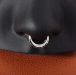 G23 Moon Hinged Clicker Segment Ring