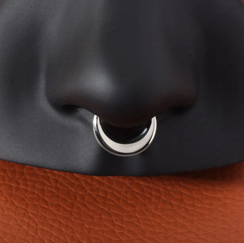 G23 Moon Hinged Clicker Segment Ring